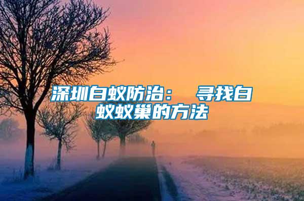 深圳白蟻防治： 尋找白蟻蟻巢的方法