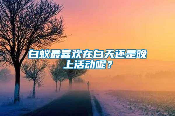 白蟻?zhàn)钕矚g在白天還是晚上活動(dòng)呢？