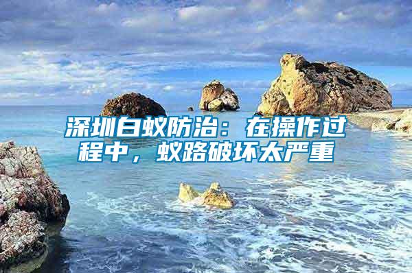 深圳白蟻防治：在操作過程中，蟻路破壞太嚴重