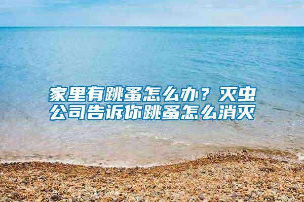 家里有跳蚤怎么辦？滅蟲公司告訴你跳蚤怎么消滅