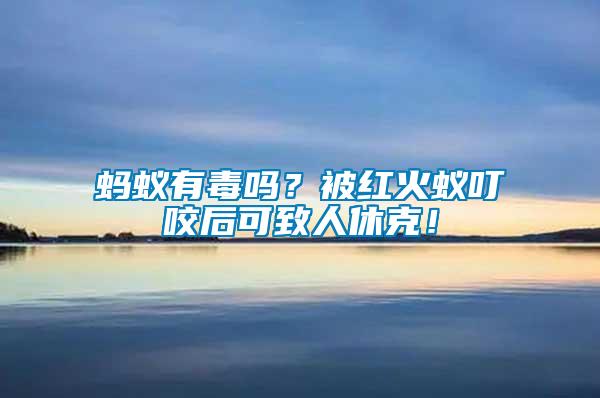 螞蟻有毒嗎？被紅火蟻叮咬后可致人休克！