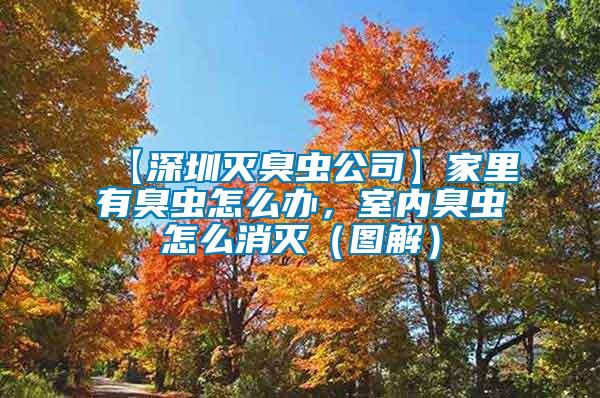 【深圳滅臭蟲公司】家里有臭蟲怎么辦，室內(nèi)臭蟲怎么消滅（圖解）