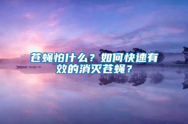 蒼蠅怕什么？如何快速有效的消滅蒼蠅？