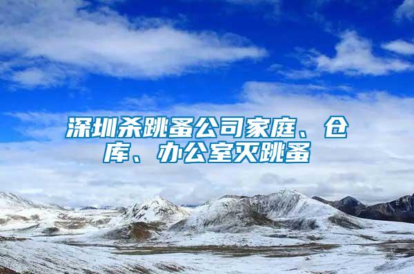 深圳殺跳蚤公司家庭、倉庫、辦公室滅跳蚤