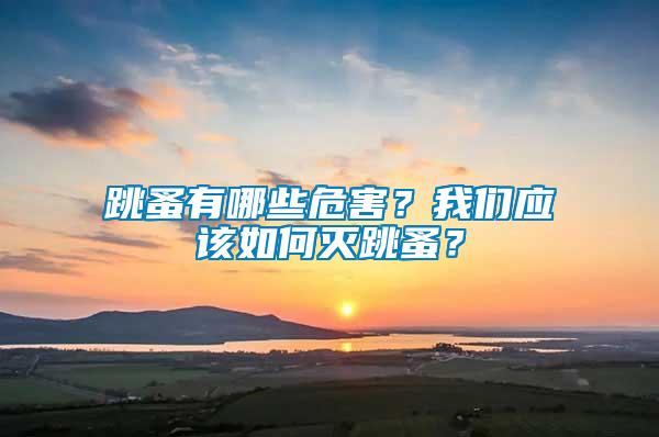 跳蚤有哪些危害？我們應(yīng)該如何滅跳蚤？