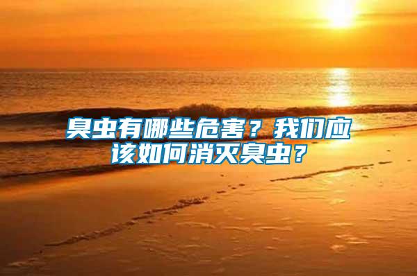 臭蟲(chóng)有哪些危害？我們應(yīng)該如何消滅臭蟲(chóng)？