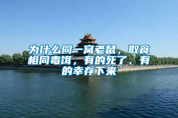 為什么同一窩老鼠，取食相同毒餌，有的死了、有的幸存下來