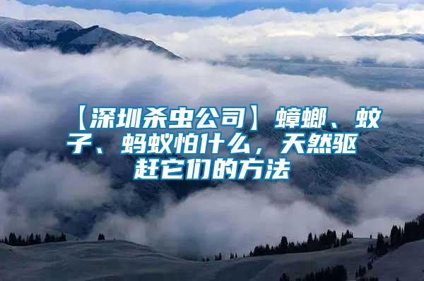 【深圳殺蟲公司】蟑螂、蚊子、螞蟻怕什么，天然驅(qū)趕它們的方法