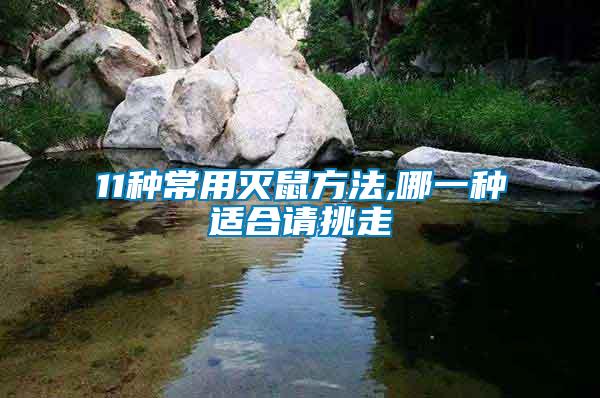 11種常用滅鼠方法,哪一種適合請(qǐng)?zhí)糇?/></p>
             <p style=