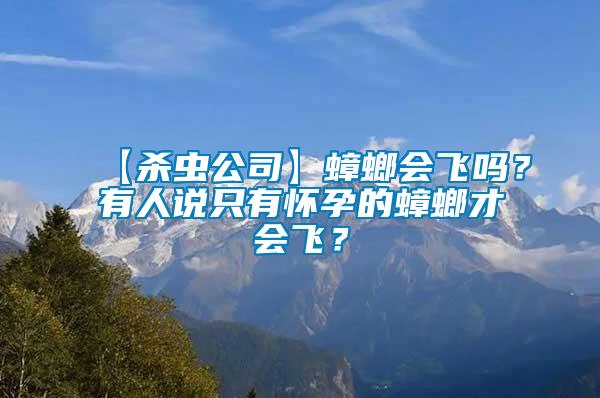 【殺蟲公司】蟑螂會飛嗎？有人說只有懷孕的蟑螂才會飛？