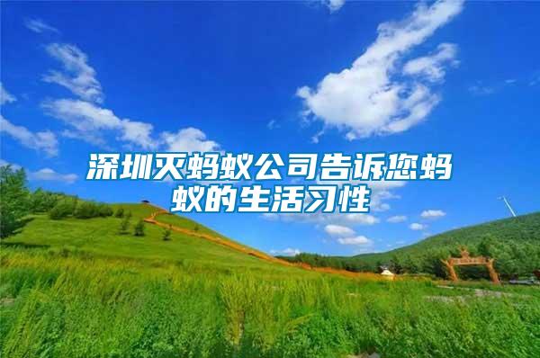 深圳滅螞蟻公司告訴您螞蟻的生活習性