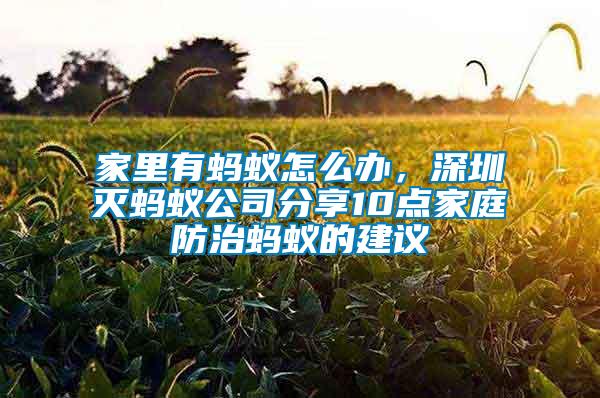 家里有螞蟻怎么辦，深圳滅螞蟻公司分享10點(diǎn)家庭防治螞蟻的建議