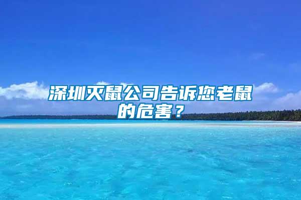 深圳滅鼠公司告訴您老鼠的危害？