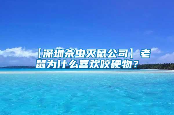 【深圳殺蟲滅鼠公司】老鼠為什么喜歡咬硬物？