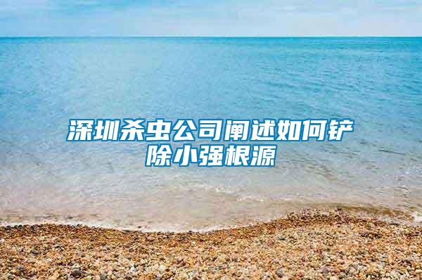 深圳殺蟲公司闡述如何鏟除小強(qiáng)根源