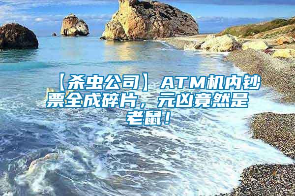 【殺蟲(chóng)公司】ATM機(jī)內(nèi)鈔票全成碎片，元兇竟然是老鼠！