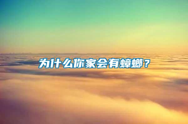 為什么你家會有蟑螂？