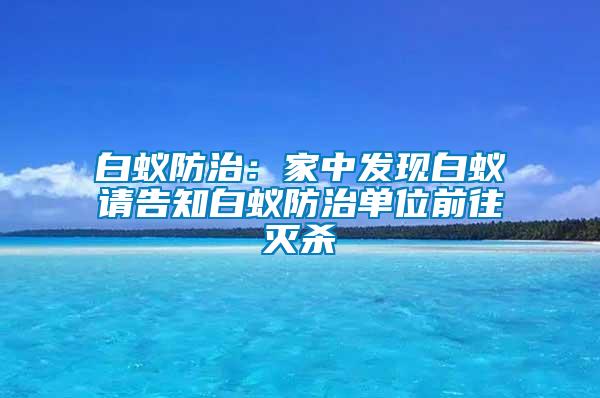 白蟻防治：家中發(fā)現(xiàn)白蟻請告知白蟻防治單位前往滅殺