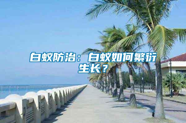 白蟻防治：白蟻如何繁衍生長(zhǎng)？