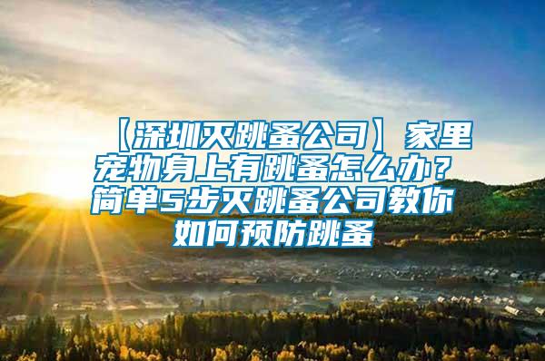 【深圳滅跳蚤公司】家里寵物身上有跳蚤怎么辦？簡單5步滅跳蚤公司教你如何預(yù)防跳蚤