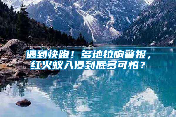 遇到快跑！多地拉響警報(bào)，紅火蟻入侵到底多可怕？