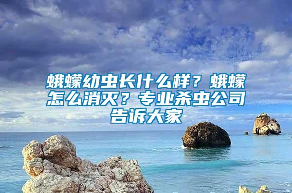 蛾蠓幼蟲長什么樣？蛾蠓怎么消滅？專業(yè)殺蟲公司告訴大家