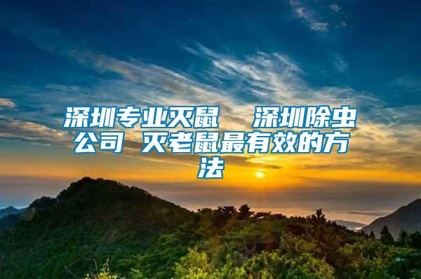 深圳專業(yè)滅鼠  深圳除蟲(chóng)公司 滅老鼠最有效的方法