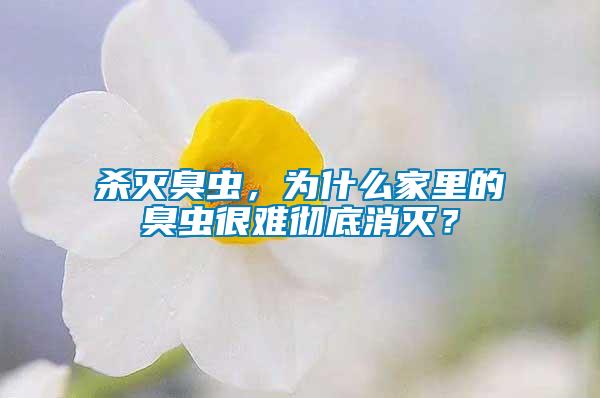 殺滅臭蟲，為什么家里的臭蟲很難徹底消滅？