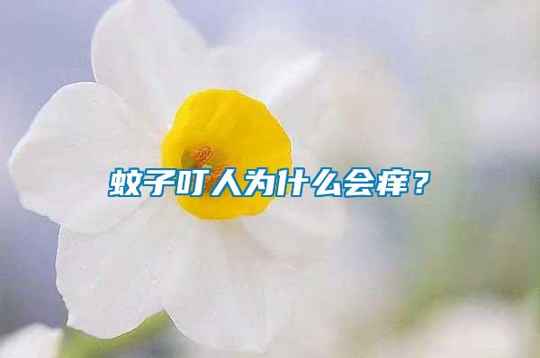 蚊子叮人為什么會癢？