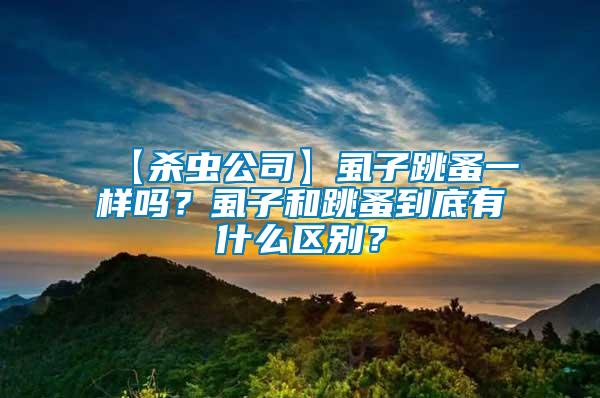 【殺蟲(chóng)公司】虱子跳蚤一樣嗎？虱子和跳蚤到底有什么區(qū)別？