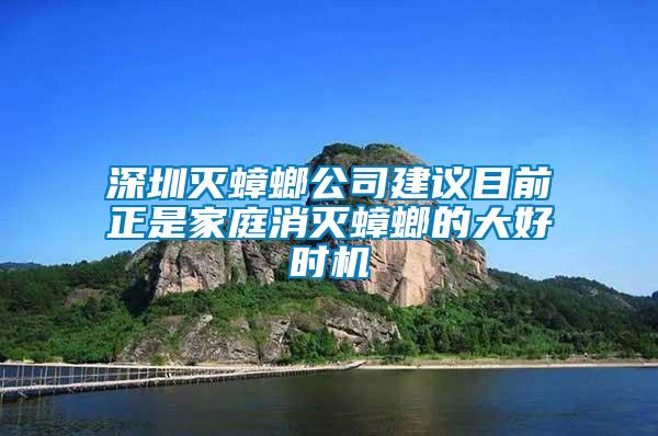 深圳滅蟑螂公司建議目前正是家庭消滅蟑螂的大好時機