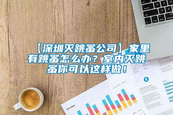 【深圳滅跳蚤公司】家里有跳蚤怎么辦？室內(nèi)滅跳蚤你可以這樣做！