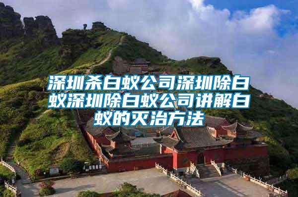 深圳殺白蟻公司深圳除白蟻深圳除白蟻公司講解白蟻的滅治方法