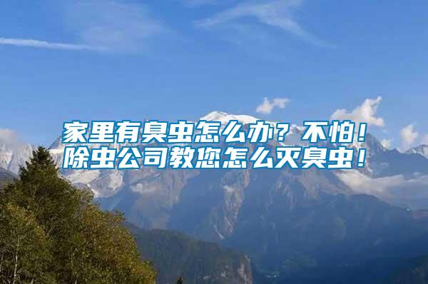 家里有臭蟲怎么辦？不怕！除蟲公司教您怎么滅臭蟲！