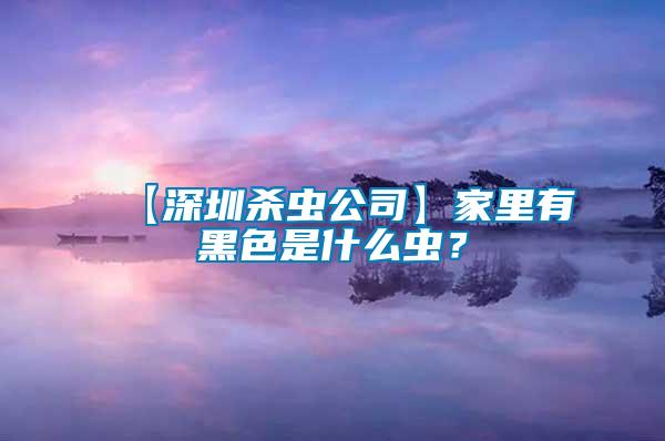 【深圳殺蟲(chóng)公司】家里有黑色是什么蟲(chóng)？