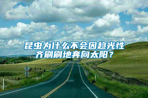 昆蟲(chóng)為什么不會(huì)因趨光性齊刷刷地奔向太陽(yáng)？