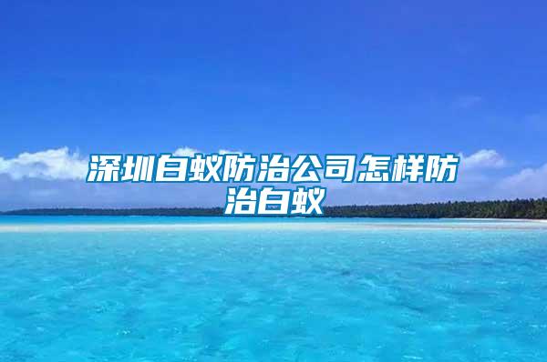 深圳白蟻防治公司怎樣防治白蟻