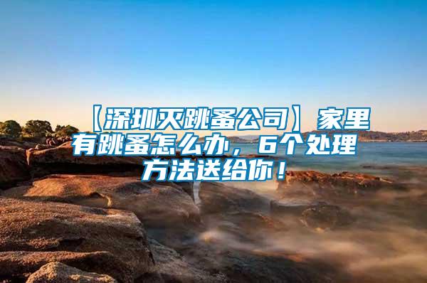 【深圳滅跳蚤公司】家里有跳蚤怎么辦，6個(gè)處理方法送給你！