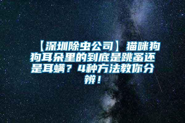 【深圳除蟲公司】貓咪狗狗耳朵里的到底是跳蚤還是耳螨？4種方法教你分辨！