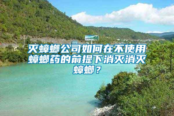 滅蟑螂公司如何在不使用蟑螂藥的前提下消滅消滅蟑螂？