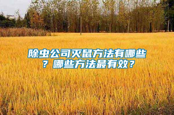 除蟲公司滅鼠方法有哪些？哪些方法最有效？