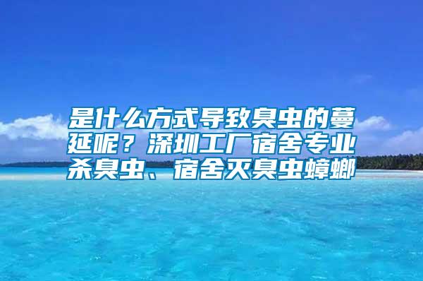 是什么方式導(dǎo)致臭蟲(chóng)的蔓延呢？深圳工廠(chǎng)宿舍專(zhuān)業(yè)殺臭蟲(chóng)、宿舍滅臭蟲(chóng)蟑螂