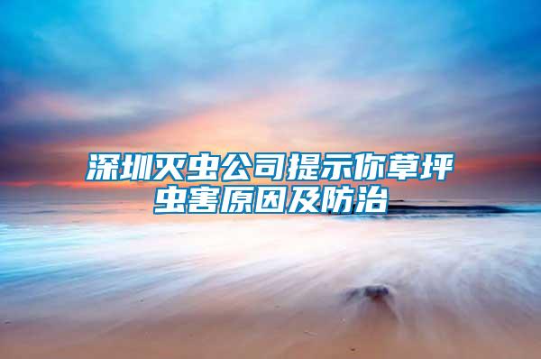 深圳滅蟲公司提示你草坪蟲害原因及防治