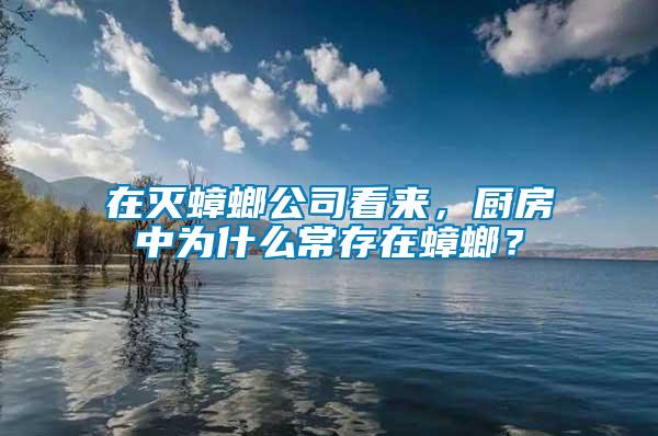 在滅蟑螂公司看來，廚房中為什么常存在蟑螂？