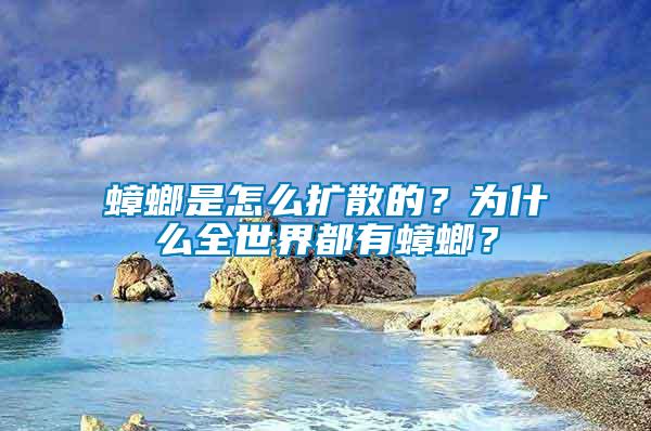 蟑螂是怎么擴散的？為什么全世界都有蟑螂？