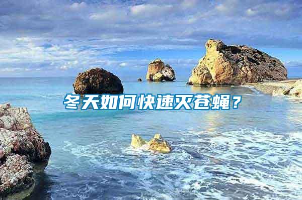 冬天如何快速滅蒼蠅？