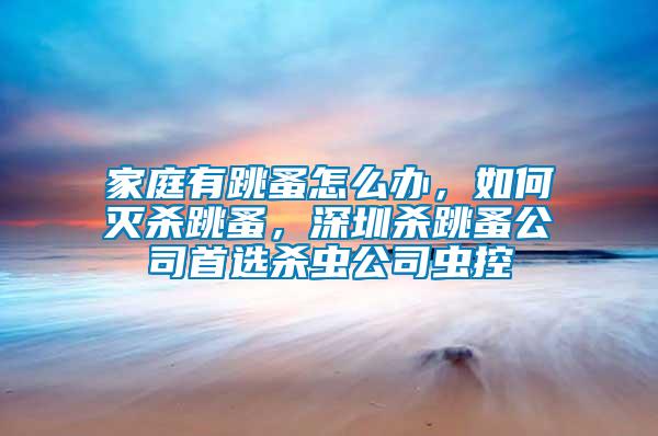 家庭有跳蚤怎么辦，如何滅殺跳蚤，深圳殺跳蚤公司首選殺蟲公司蟲控