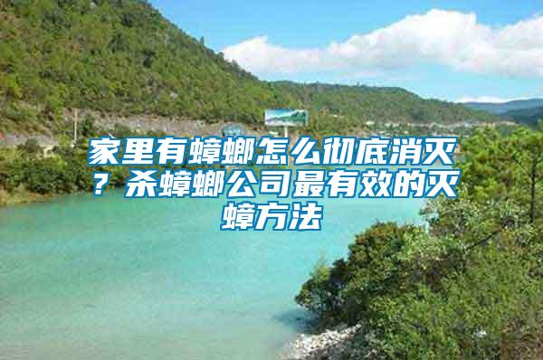 家里有蟑螂怎么徹底消滅？殺蟑螂公司最有效的滅蟑方法