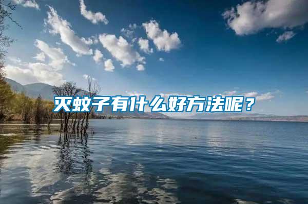 滅蚊子有什么好方法呢？