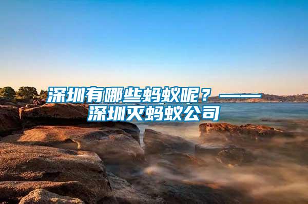 深圳有哪些螞蟻呢？——深圳滅螞蟻公司